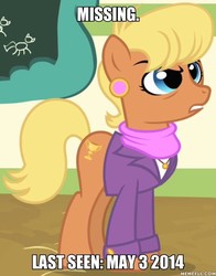 Size: 600x767 | Tagged: safe, edit, edited screencap, screencap, ms. harshwhinny, earth pony, pony, g4, clothes, cropped, female, image macro, mare, meme, memeful.com, missing, solo