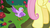 Size: 1280x720 | Tagged: safe, screencap, fluttershy, bird, g4, season 8, the mean 6, chick, flower, open beak, rose, sad, solo focus