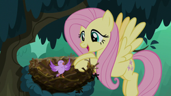 Size: 1280x720 | Tagged: safe, screencap, fluttershy, bird, pegasus, pony, g4, season 8, the mean 6, bird nest, chick, cute, duo, female, flying, happy, kindness, mare, nest, open mouth, shyabetes, spread wings, tree, wings
