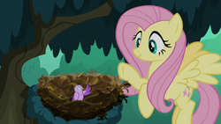 Size: 1280x720 | Tagged: safe, screencap, fluttershy, bird, pegasus, pony, g4, season 8, the mean 6, bird nest, chick, cute, duo, female, flying, mare, nest, shyabetes, tree, waving