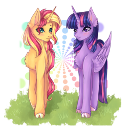 Size: 800x800 | Tagged: safe, artist:asttefany, sunset shimmer, twilight sparkle, alicorn, pony, unicorn, g4, abstract background, chest fluff, cloven hooves, duo, duo female, female, mare, transparent background, twilight sparkle (alicorn)