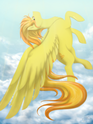 Size: 1800x2400 | Tagged: safe, artist:scarletsfeed, spitfire, pegasus, pony, g4, cloud, cutie mark, female, flying, looking at you, mare, signature, sky, solo, spread wings, wings