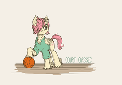 Size: 1581x1104 | Tagged: safe, artist:dreamingnoctis, fluttershy, pegasus, pony, g4, alternate hairstyle, ball, basketball, butterscotch, clothes, ear fluff, male, rule 63, shirt, solo, sports, stallion, text, unshorn fetlocks