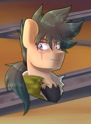 Size: 942x1282 | Tagged: safe, artist:tigra0118, pony, anime, beyblade, bust, kyouya tategami, kyoya, male, ponified, portrait, solo