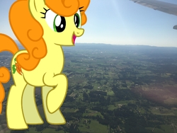 Size: 3344x2508 | Tagged: safe, artist:jerryakira79, carrot top, golden harvest, earth pony, pony, g4, female, giant pony, high res, highrise ponies, irl, macro, photo