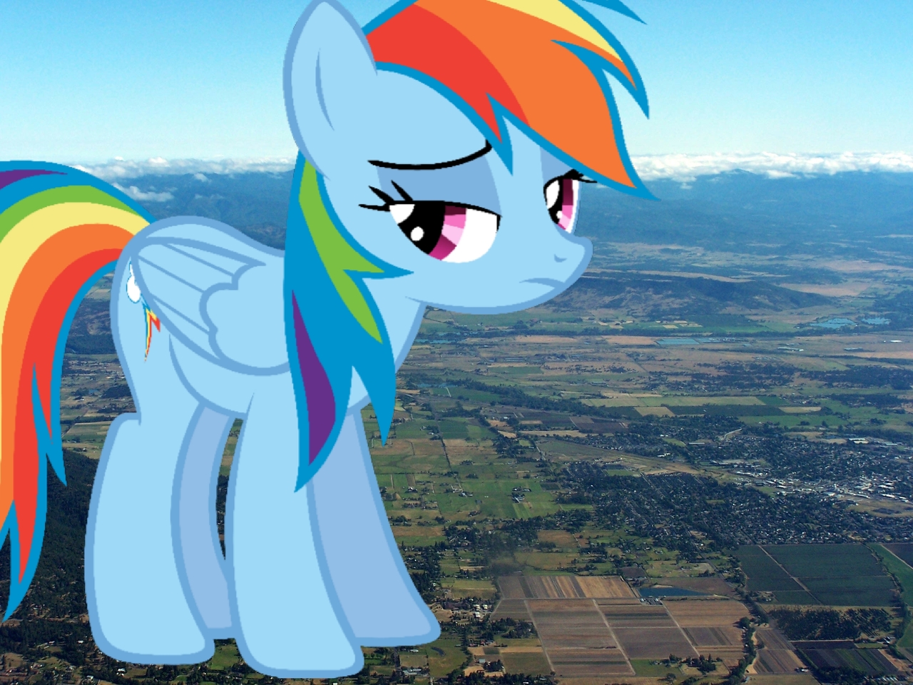 Фото rainbow dash