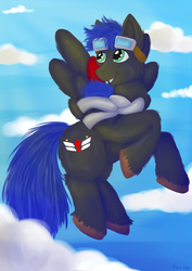 Size: 1024x1448 | Tagged: safe, artist:fishiewishes, oc, oc only, oc:silverwind, pegasus, pony, clothes, cloud, commission, flying, goggles, male, scarf, sky, solo, stallion, unshorn fetlocks, wind