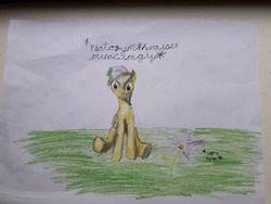 Size: 4608x3456 | Tagged: safe, artist:mdaisy, oc, oc only, oc:marguerite daisy, pony, evil smile, female, flower, grin, pencil, simple background, sitting, smiling, solo, text, this will end in extinction, traditional art, xk-class end-of-the-world scenario