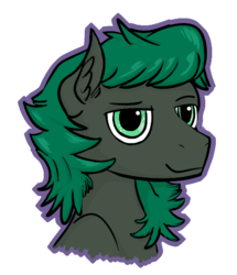 Size: 493x573 | Tagged: safe, artist:vee ness, derpibooru exclusive, oc, oc only, oc:minus, earth pony, pony, bust, colored, ear fluff, handsome, male, outline, simple background, solo, transparent background