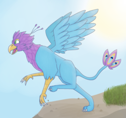 Size: 1600x1500 | Tagged: safe, artist:datburger, oc, oc:gyro feather, oc:gyro tech, griffon, griffonized, species swap