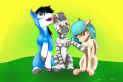 Size: 3000x2000 | Tagged: safe, artist:tracerpainter, oc, oc:tracer painter, earth pony, pegasus, pony, zebra, group, high res, simple background