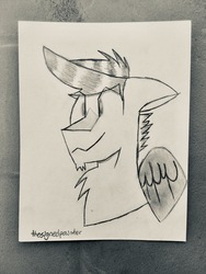 Size: 1536x2048 | Tagged: safe, artist:thesignedpainter, oc, oc only, oc:digital import, hippogriff, bust, head, hippogriff oc, male, monochrome, solo, traditional art