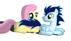 Size: 3019x1757 | Tagged: dead source, safe, artist:meandmyideas, fluttershy, soarin', pegasus, pony, g4, biting, crack shipping, duo, female, looking at each other, looking back, male, mouth hold, shipping, simple background, soarinshy, straight, tail, tail bite, transparent background, vector