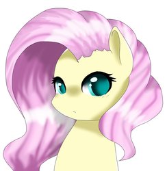 Size: 1370x1402 | Tagged: safe, artist:marilocoloco, fluttershy, pegasus, pony, g4, bust, female, looking at you, mare, simple background, solo, white background