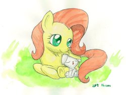 Size: 1024x768 | Tagged: safe, artist:michiito, angel bunny, fluttershy, pony, g4, prone, traditional art