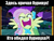 Size: 600x450 | Tagged: safe, artist:dragonfly, edit, edited screencap, screencap, fluttershy, pegasus, pony, g4, my little pony: friendship is magic, the best night ever, crossover, cyrillic, female, flutterrage, gritted teeth, hub logo, image macro, looking at you, luukfy penz, mare, max frei, meme, open mouth, panting, pony pokey, rage, russian, solo, spread wings, wings, you're going to love me