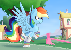 Size: 4093x2894 | Tagged: safe, artist:renderpoint, rainbow dash, pegasus, pony, g4, clothes, female, mare, outdoors, rainbow socks, socks, solo, striped socks, tree, wings