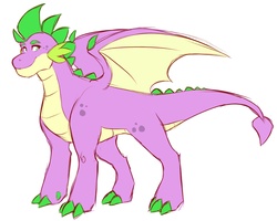 Size: 2000x1600 | Tagged: safe, artist:canisrettmajoris, spike, dragon, g4, colored claws, male, older, older spike, quadrupedal spike, simple background, smiling, solo, white background, winged spike, wings