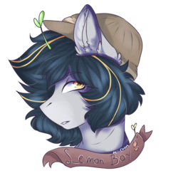 Size: 768x768 | Tagged: safe, artist:akiiichaos, oc, oc only, oc:lance, pony, bust, male, portrait, simple background, solo, stallion, transparent background