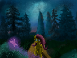 Size: 4000x3000 | Tagged: safe, artist:endlessfusion, fluttershy, pegasus, pony, g4, female, forest, high res, mare, night, scenery