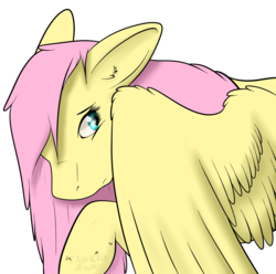 Size: 1587x1575 | Tagged: safe, artist:fauxheaux, fluttershy, pegasus, pony, g4, bust, female, looking away, looking back, looking sideways, mare, raised hoof, shy, simple background, solo, transparent background