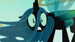 Size: 800x450 | Tagged: safe, edit, edited screencap, screencap, queen chrysalis, changeling, changeling queen, g4, season 6, to where and back again, ..., animated, anxiety, confused, cute, cutealis, faic, fear, female, flapping, former queen chrysalis, frown, gif, gritted teeth, loop, mare, oh crap, oh crap face, reaction image, scared, shocked, shrunken pupils, solo, spread wings, standing, wavy mane, wide eyes, wings, worried