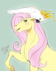 Size: 629x798 | Tagged: safe, artist:patsuko, fluttershy, bird, cockatoo, pony, g4, animal, commission, duo, female, green background, mare, realistic, realistic horse legs, signature, simple background