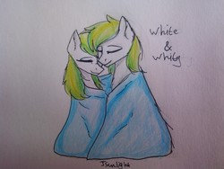 Size: 1600x1200 | Tagged: safe, artist:jsunlight, oc, oc only, oc:white night, pony, blanket, female, male, mare, rule 63, simple background, sleeping, stallion, traditional art, white background