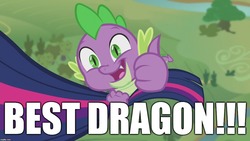 Size: 1280x720 | Tagged: safe, edit, edited screencap, editor:useraccount, screencap, spike, twilight sparkle, alicorn, pony, g4, best dragon, best pony, cute, excessive exclamation marks, fact, image macro, meme, thumbs up, truth, twilight sparkle (alicorn)