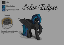 Size: 4680x3320 | Tagged: safe, artist:littlepony115, oc, oc only, oc:solar eclipse, pegasus, pony, chest fluff, cutie mark, female, mare, messy mane, simple background, solo, text