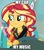 Size: 500x570 | Tagged: safe, sunset shimmer, driving miss shimmer, equestria girls, equestria girls series, g4, annoyed, cropped, driving miss shimmer: fluttershy, female, flower, fluttershy's car, image macro, imgflip, meme, seatbelt, solo, steering wheel