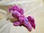 Size: 1024x768 | Tagged: safe, artist:king-franchesco, pinkie pie, earth pony, pony, g4, cute, cutie mark, deviantart watermark, eyes closed, irl, photo, plushie, prone, solo, sploot, watermark