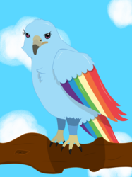 Size: 1400x1867 | Tagged: safe, artist:augjodo, rainbow dash, bird, hawk, g4, ambiguous gender, atg 2018, digital art, newbie artist training grounds, solo, species swap