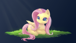 Size: 1750x1000 | Tagged: safe, artist:sylphlox, fluttershy, insect, ladybug, pegasus, pony, g4, crepuscular rays, grass, prone, simple background, smiling