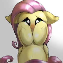 Size: 1536x1536 | Tagged: safe, artist:kurogewapony, fluttershy, pegasus, pony, g4, cute, female, floppy ears, hnnng, mare, preggoshy, pregnant, shy, shyabetes, simple background, solo