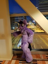 Size: 3024x4032 | Tagged: safe, artist:conicaw, artist:eurosquirrel, oc, oc only, oc:feather freight, pegasus, pony, bronycon, bronycon 2018, fursuit, irl, photo, ponysuit, solo