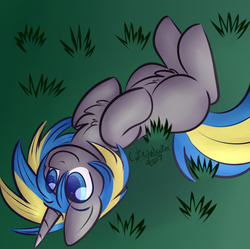 Size: 798x795 | Tagged: safe, artist:cutiepatootiee, oc, oc only, oc:fizzygreen, pony, unicorn, blue, blue eyes, chest fluff, equine, grass, gray, gray coat, green, happy, lying down, lying on the ground, male, nature, nudity, on back, smiling, solo, stallion, ych result, yellow