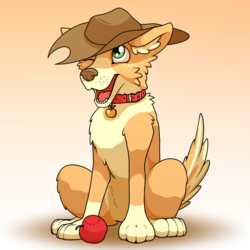 Size: 2000x2000 | Tagged: safe, artist:ohemo, applejack, dog, g4, apple, applejack's hat, atg 2018, collar, cowboy hat, dogified, female, food, hat, high res, newbie artist training grounds, solo, species swap, stetson