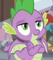Size: 640x720 | Tagged: safe, screencap, spike, dragon, a matter of principals, g4, cropped, crossed arms, smiling, winged spike, wings