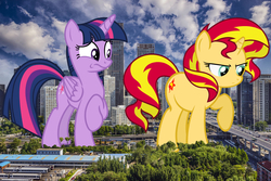 Size: 1550x1033 | Tagged: safe, artist:auskeldeo, artist:davidsfire, artist:godoffury, sunset shimmer, twilight sparkle, alicorn, pony, unicorn, g4, beijing, building, china, giant ponies in real life, giant pony, highrise ponies, irl, looking down, macro, photo, ponies in real life, raised hoof, skyscraper, story included, twilight sparkle (alicorn)