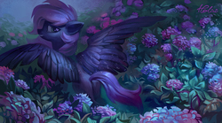 Size: 2480x1376 | Tagged: safe, artist:holivi, oc, oc only, oc:starry night, pegasus, pony, commission, female, flower, grass, looking back, mare, night, scenery, signature, solo
