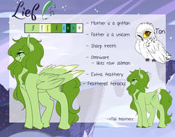 Size: 3500x2750 | Tagged: safe, artist:liefsong, oc, oc only, oc:lief, oc:tori, owl, high res, pet, pet oc, reference sheet