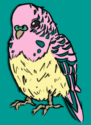 Size: 800x1100 | Tagged: safe, artist:threetwotwo32232, fluttershy, bird, budgerigar, budgie, parakeet, g4, ambiguous gender, atg 2018, birdified, newbie artist training grounds, solo, species swap