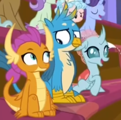 Size: 1017x1007 | Tagged: safe, edit, edited screencap, screencap, cozy glow, gallus, november rain, ocellus, smolder, violet twirl, changedling, changeling, dragon, griffon, pegasus, pony, a matter of principals, g4, claws, cropped, dragoness, female, filly, friendship student, looking at each other, male, shipping fuel, sitting, smiling