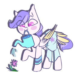 Size: 700x700 | Tagged: safe, artist:queenofvipers, oc, oc only, oc:daisy blush, pegasus, pony, blushing, bracelet, clothes, crossdressing, flower, jewelry, male, mouth hold, simple background, skirt, solo, stallion, transparent background, trap, water, watering can