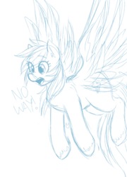 Size: 739x1027 | Tagged: artist needed, safe, rainbow dash, pegasus, pony, g4, 4chan, dialogue, drawthread, female, mare, monochrome, open mouth, simple background, sketch, solo, spread wings, unshorn fetlocks, white background, wings