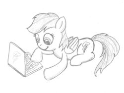 Size: 1000x750 | Tagged: safe, artist:m.w., rainbow dash, pegasus, pony, g4, 4chan, computer, cute, drawthread, female, laptop computer, mare, monochrome, prone, simple background, smiling, solo, traditional art, white background