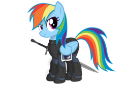 Size: 3000x2000 | Tagged: safe, artist:yognaughtsteve, rainbow dash, pegasus, pony, fanfic:helljumpers, g4, armor, fanfic art, female, high res, simple background, solo, sword, transparent background, weapon