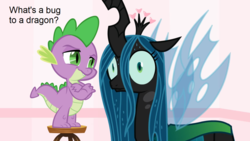 Size: 1366x768 | Tagged: safe, edit, queen chrysalis, spike, changeling, changeling queen, dragon, g4, ..., anxiety, baby, baby dragon, badass, badass adorable, confident, confused, crossed arms, cute, cutealis, dialogue, duo, epic, faic, fangs, fear, female, fridge horror, fridge logic, hardcore, help me, helpless, high ground, hilarious in hindsight, humor, intimidating, irony, logic, looking at you, male, mare, menacing, mind blown, nervous, oh crap, oh crap face, panic, panic attack, payback, ptsd, realization, revenge, rivalry, role reversal, savage, scared, shocked, shrunken pupils, size difference, smaller male, smiling, smirk, smug, spikabetes, spread wings, stool, sudden realization, sweat, text, the implications are horrible, the tables have turned, this will end in death, this will end in pain, this will end in tears, this will end in tears and/or death, wall of tags, wat, wide eyes, wings, worried, your argument is invalid