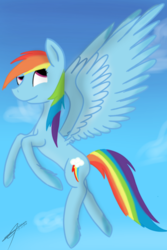 Size: 990x1485 | Tagged: safe, artist:theandreaxd, rainbow dash, pony, g4, female, flying, solo, spread wings, wings